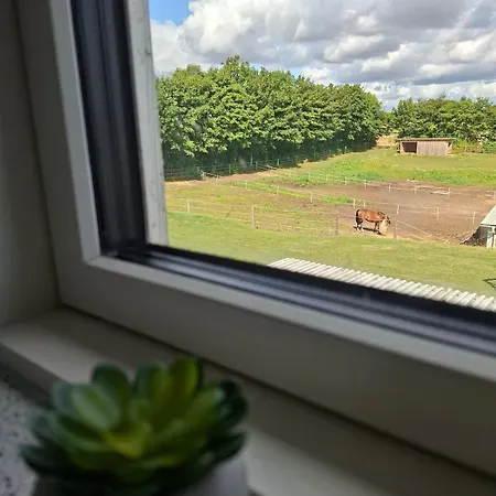 153 M2 By The Forest And - Idyllic Countryside - Near Legoland *